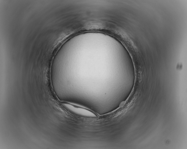 X0000094081217200711091207