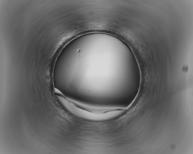 X0000094081218200711091207