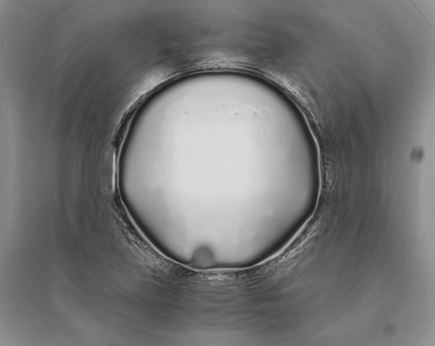 X0000094081219200711091207