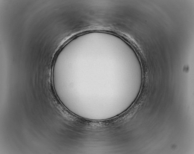 X0000094081220200711091207
