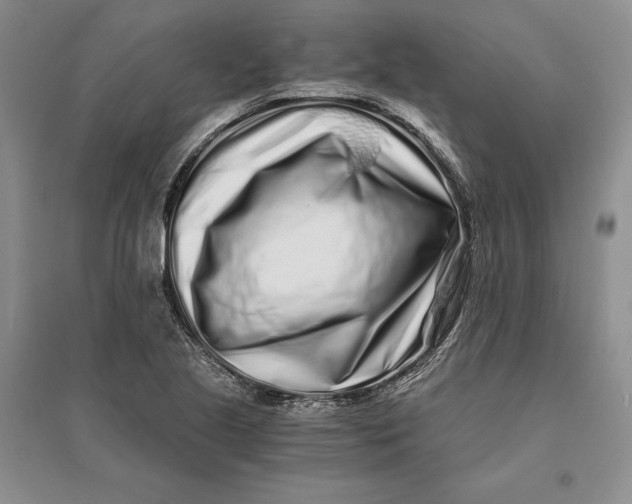 X0000094081221200711091207