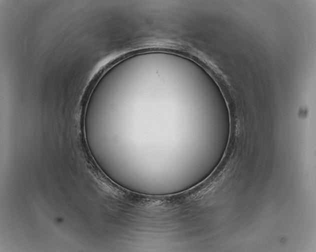 X0000094081222200711091207