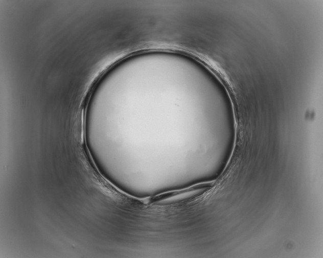 X0000094081223200711091207