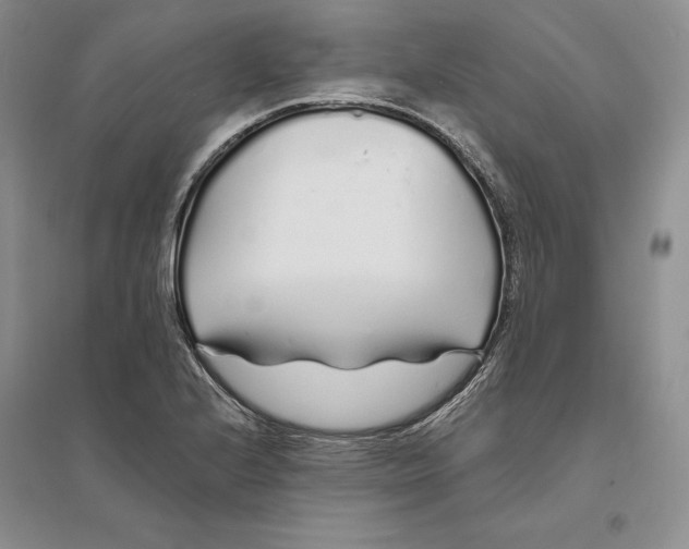 X0000094081224200711091207
