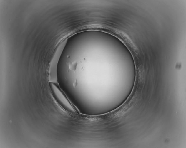 X0000094081225200711091207