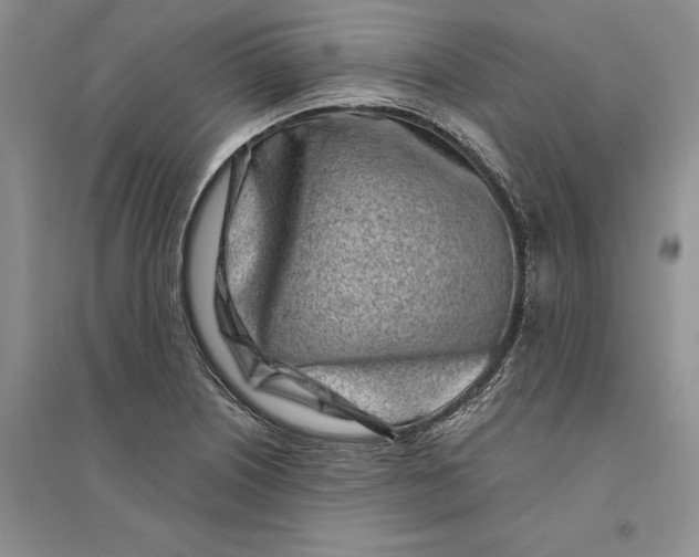 X0000094081226200711091207