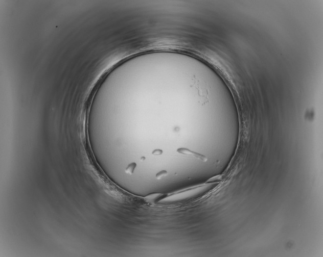X0000094081227200711091207