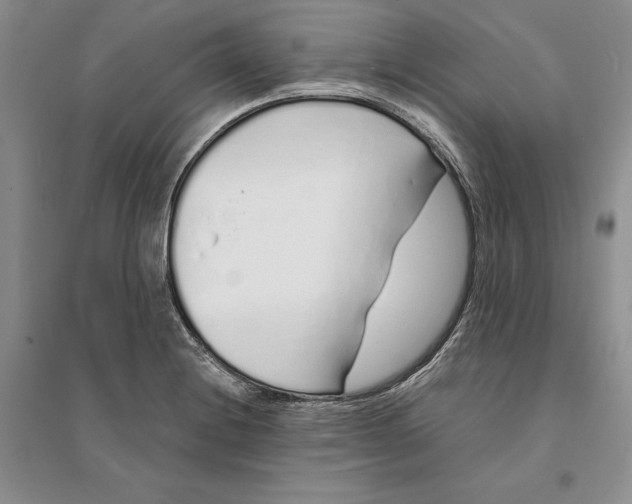 X0000094081228200711091207