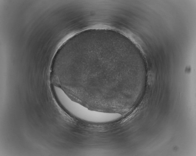 X0000094081229200711091207