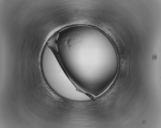 X0000094081230200711091207