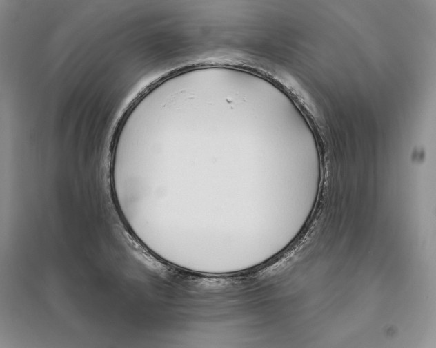 X0000094081232200711091207