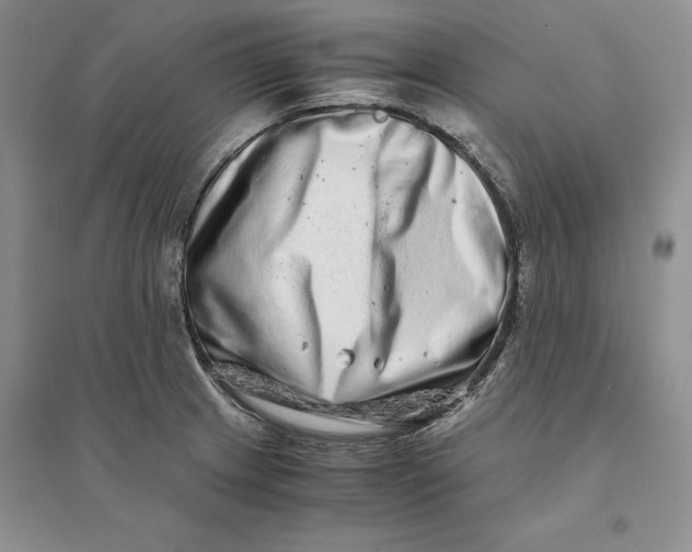 X0000094081233200711091207