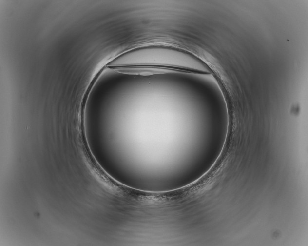 X0000094081234200711091208