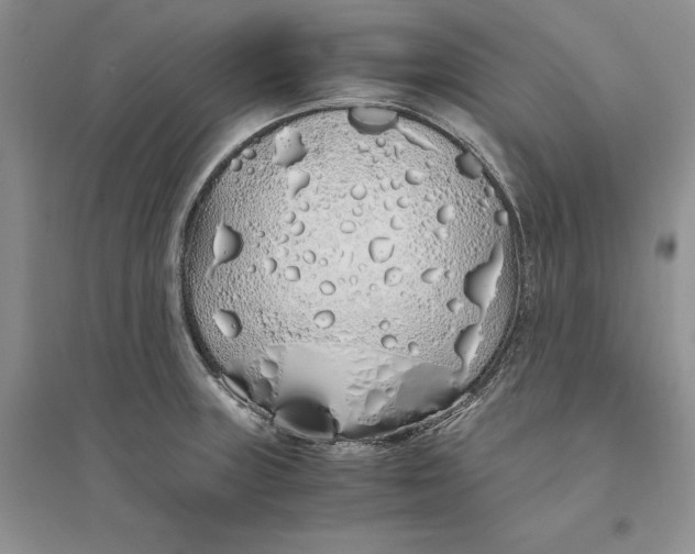 X0000094081235200711091208