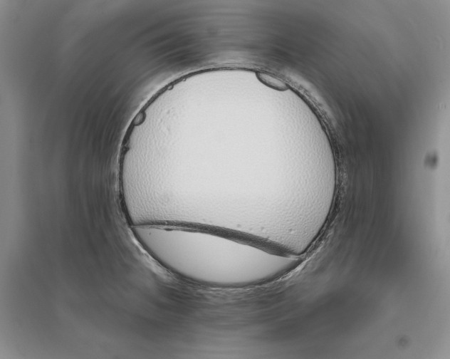 X0000094081236200711091208
