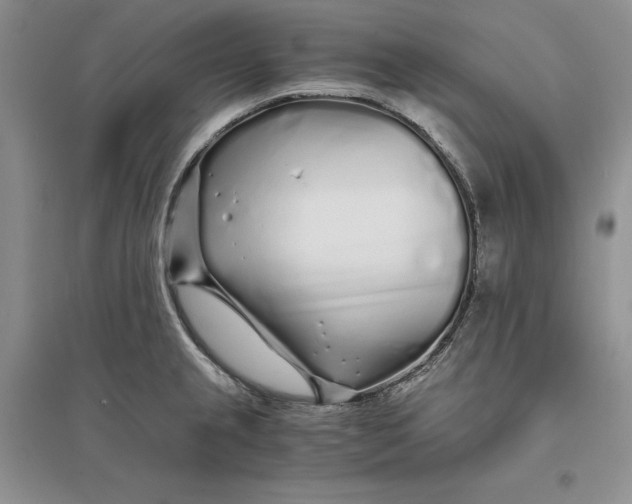 X0000094081237200711091208