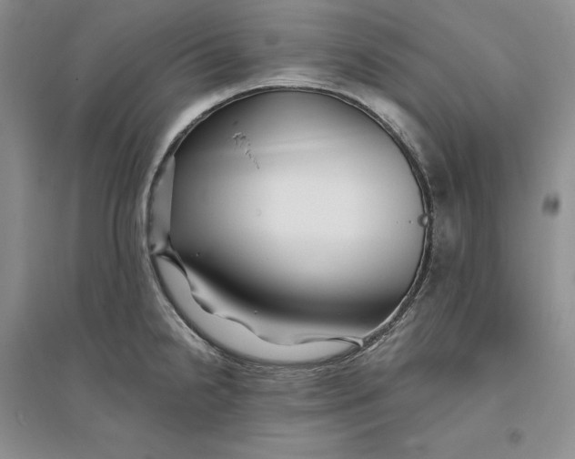 X0000094081238200711091208