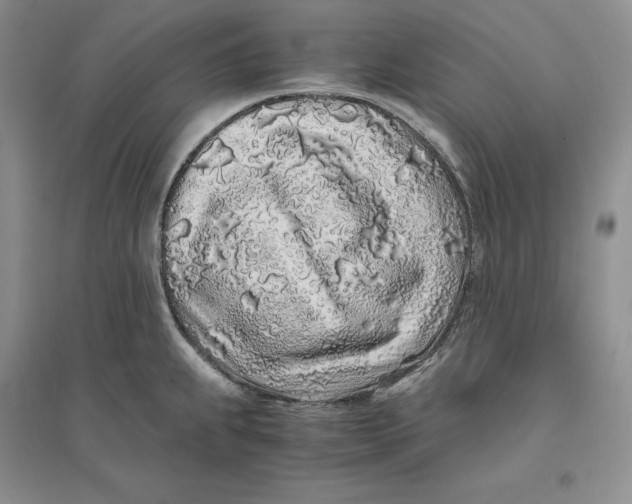 X0000094081239200711091208