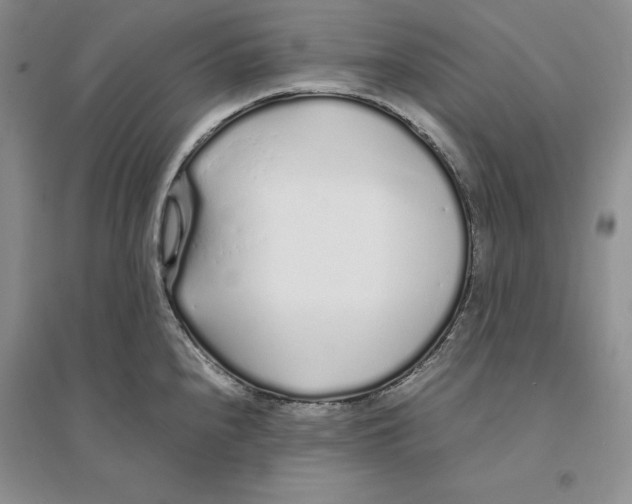 X0000094081240200711091208