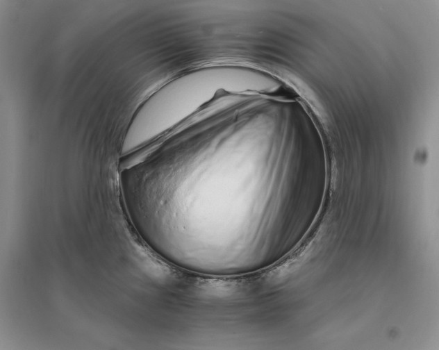 X0000094081241200711091208