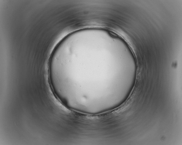 X0000094081243200711091208