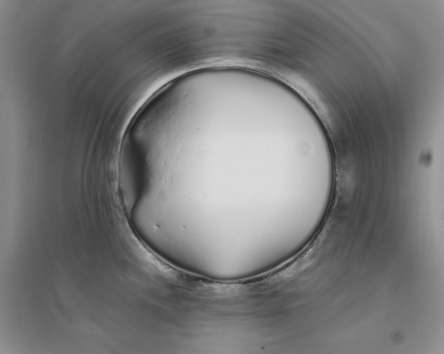 X0000094081244200711091208