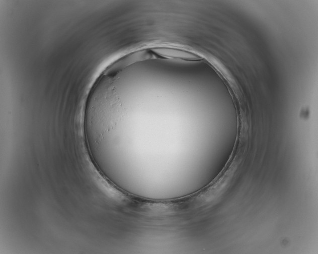 X0000094081246200711091208