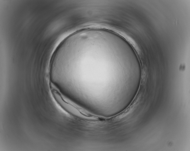 X0000094081247200711091208