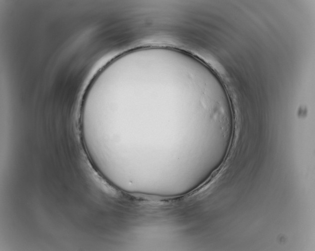 X0000094081248200711091208