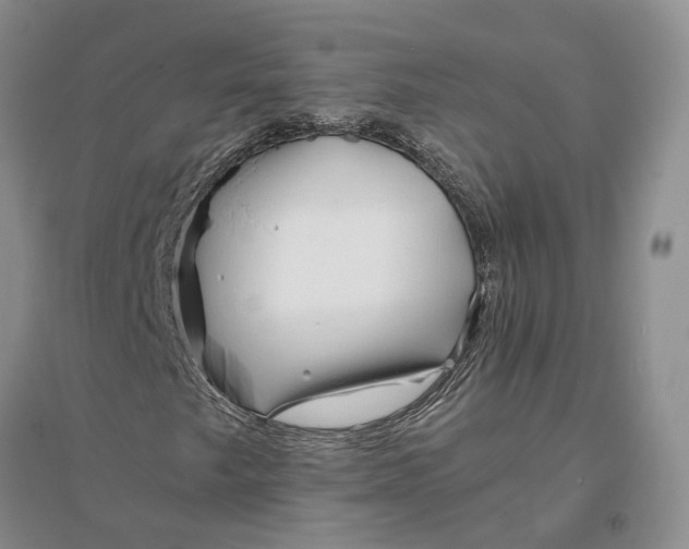 X0000094081249200711091207