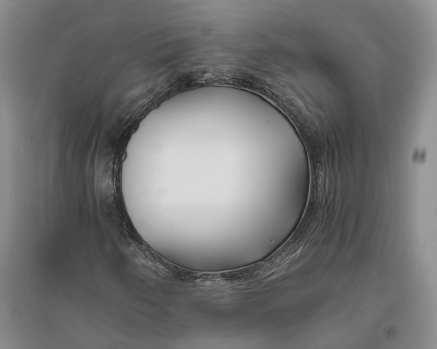 X0000094081250200711091207