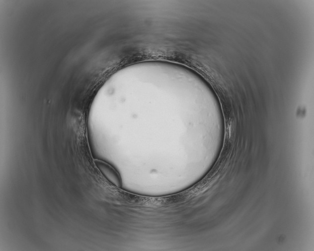 X0000094081251200711091207