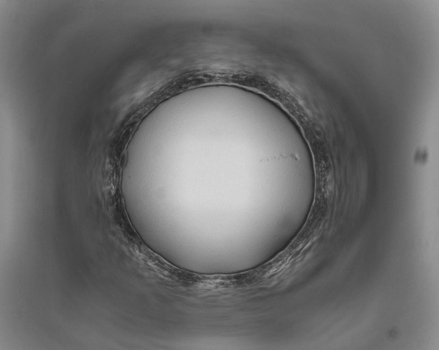 X0000094081253200711091207