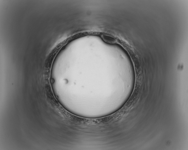 X0000094081255200711091207