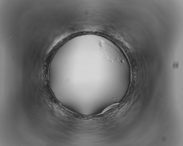 X0000094081256200711091207
