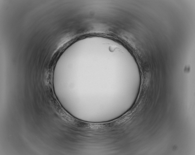 X0000094081258200711091207