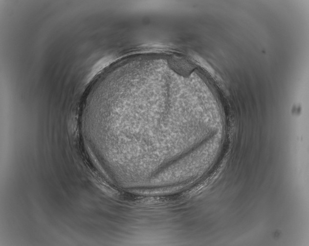 X0000094081259200711091207