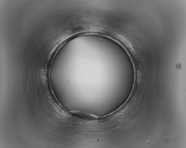 X0000094081260200711091207