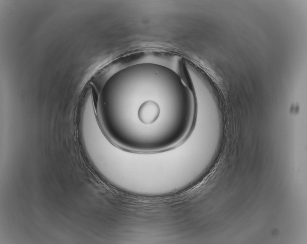 X0000094081261200711091207