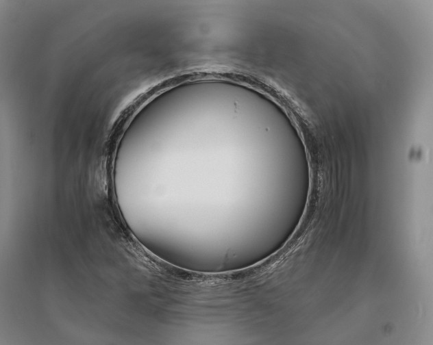 X0000094081262200711091207