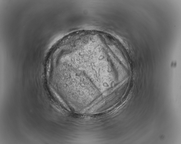 X0000094081263200711091207