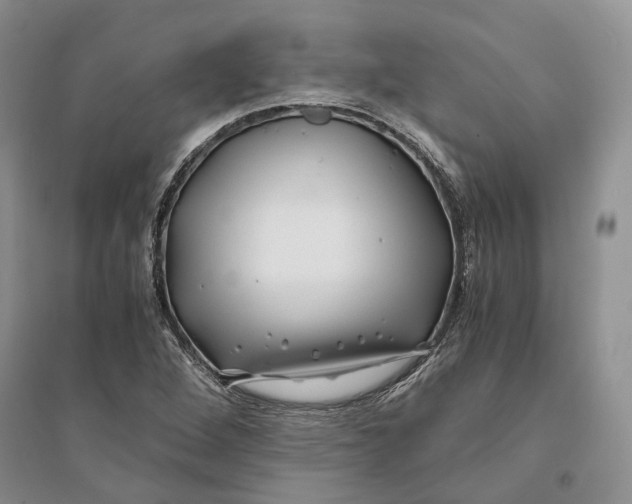 X0000094081264200711091207