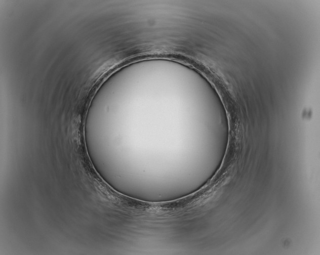 X0000094081265200711091207