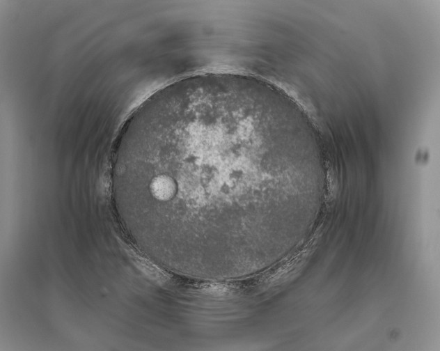 X0000094081266200711091207