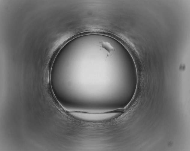 X0000094081269200711091207