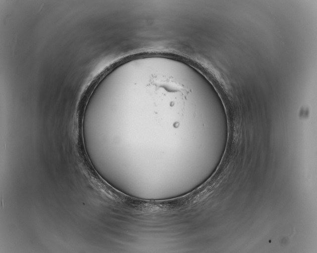 X0000094081270200711091207