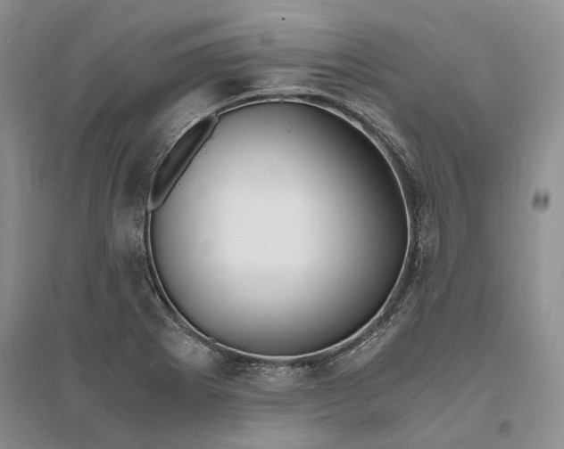 X0000094081273200711091207