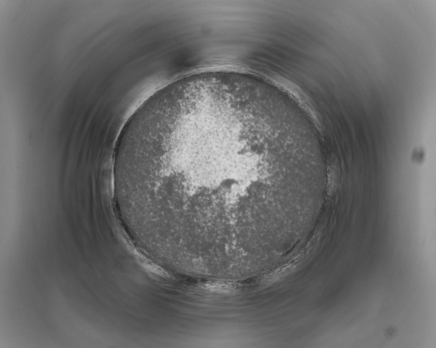 X0000094081274200711091207