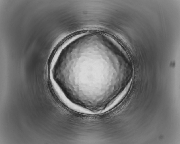 X0000094081275200711091207
