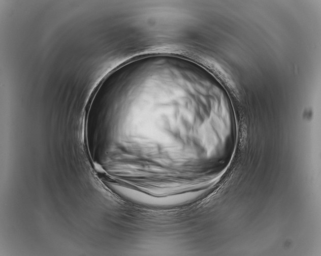 X0000094081276200711091206